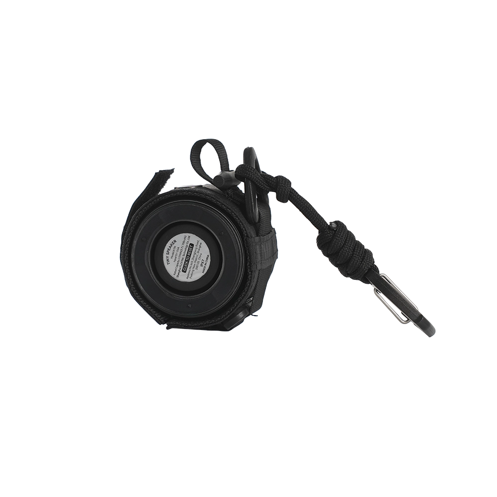 Tiny Speaker
