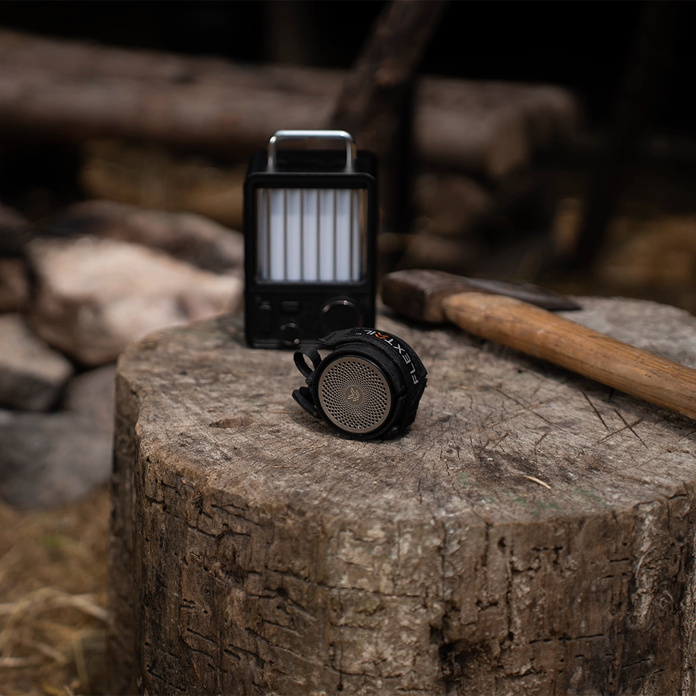 Tiny Speaker