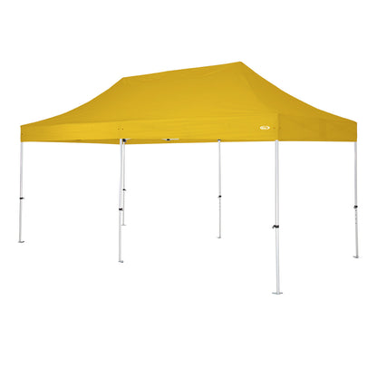 yellow6x3.jpg